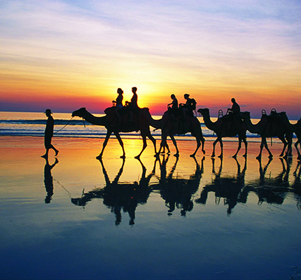 Kamelen in Noorwegen? Ze zijn de nummer 1 attractie van dierentuin in Kristiansand.