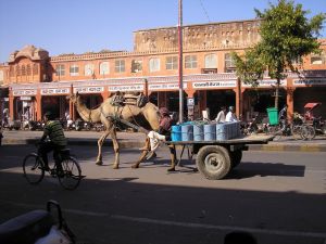 Jaipur, India Straatbeeld van Jaipur, die vanwege de kleur van de gebouwen Pink City wordt genoemd.