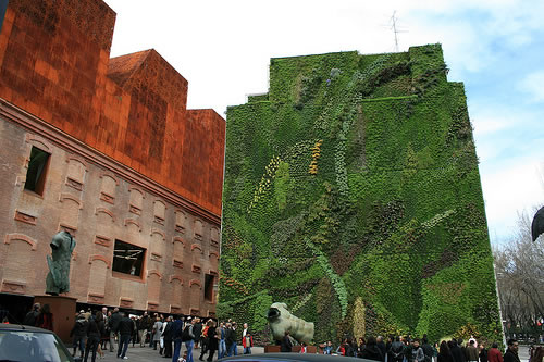 De verticale tuin van Patrick Blanc bij Caixa Forum in Madrid.