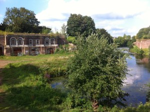 Zicht op het ruige Frontenpark in Maastricht.